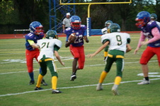 Enlarge photo 149