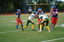 Enlarge photo 151