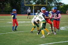 Enlarge photo 152