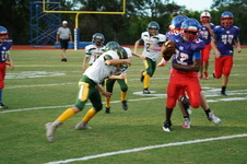 Enlarge photo 154