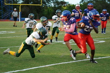 Enlarge photo 155