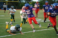 Enlarge photo 156