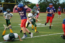Enlarge photo 157