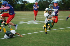 Enlarge photo 159