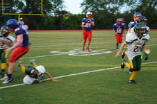 Enlarge photo 160