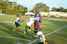 Enlarge photo 161