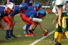 Enlarge photo 163