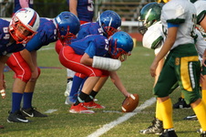 Enlarge photo 165