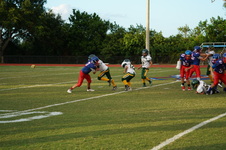Enlarge photo 172