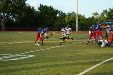 Enlarge photo 173