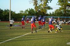 Enlarge photo 179