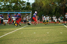 Enlarge photo 182