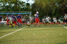 Enlarge photo 183