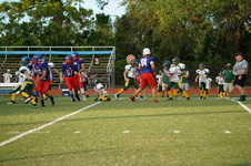 Enlarge photo 184