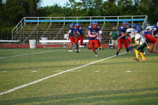 Enlarge photo 187