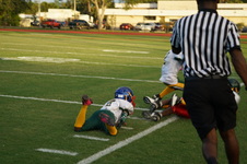 Enlarge photo 202