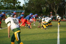 Enlarge photo 203