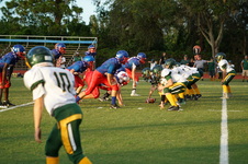 Enlarge photo 204