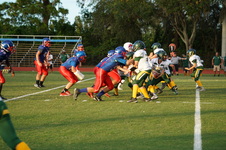 Enlarge photo 207