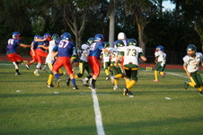 Enlarge photo 208