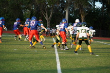 Enlarge photo 209