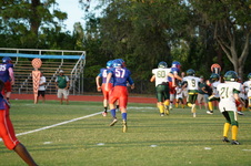Enlarge photo 211