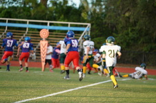 Enlarge photo 214