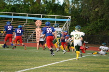 Enlarge photo 215