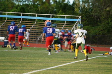 Enlarge photo 216