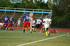 Enlarge photo 217