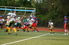 Enlarge photo 219