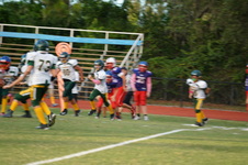 Enlarge photo 220