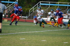 Enlarge photo 221