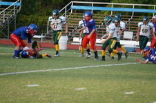 Enlarge photo 223