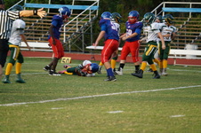 Enlarge photo 224