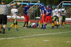Enlarge photo 225