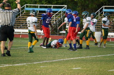 Enlarge photo 226