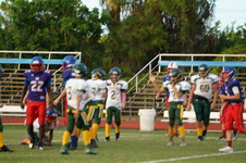 Enlarge photo 228
