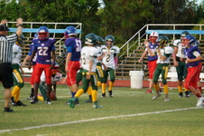 Enlarge photo 229