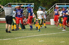 Enlarge photo 230