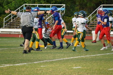 Enlarge photo 231