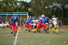 Enlarge photo 235