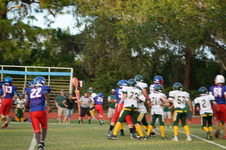 Enlarge photo 236