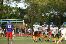 Enlarge photo 238