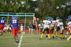 Enlarge photo 239