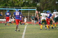 Enlarge photo 240