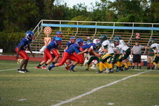 Enlarge photo 241