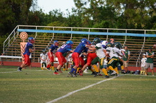 Enlarge photo 244