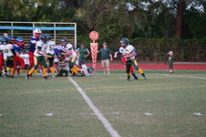 Enlarge photo 264