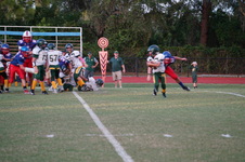 Enlarge photo 265